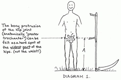 diagram1.gif