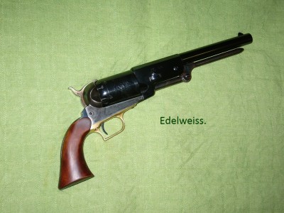 Edelweiss (2).JPG
