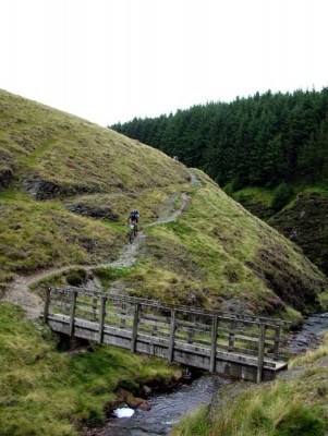 Bridge-Singletrack.jpg