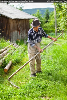 old-rural-man-using-scythe-babe4d.jpg